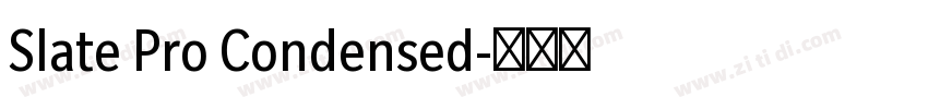 Slate Pro Condensed字体转换